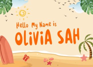 Holidays Summer Font preview image 3