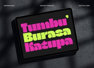 Inktera Font preview image 2