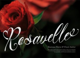 Jamytta Font preview image 2