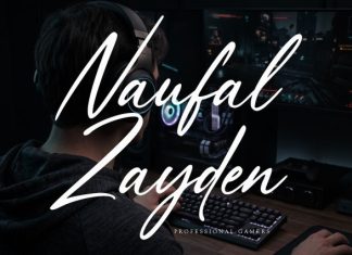 Jasendira Font preview image 3