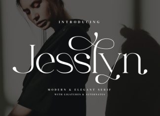 Jesslyn Font preview image 1