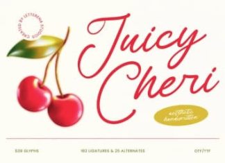 Juicy Cheri Font preview image 1