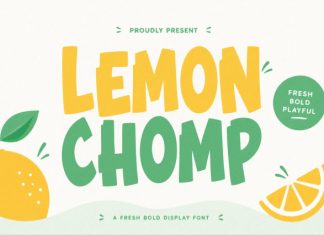 Lemon Chomp Font preview image 1