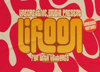 Lifloon Font preview image 1