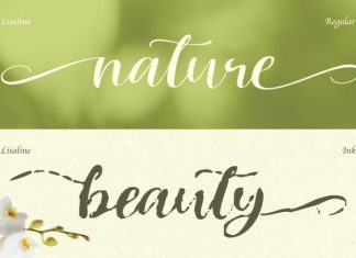 Lisaline Font preview image 3