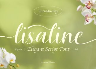 Lisaline Font preview image 1