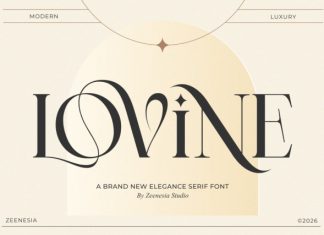 Lovine Only Font preview image 1