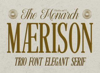 Maerison Font preview image 1