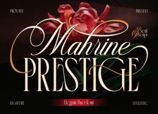 Mahrine Prestige Font preview image 1