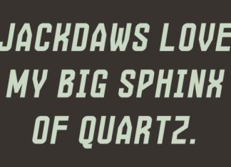 Martius Font preview image 3