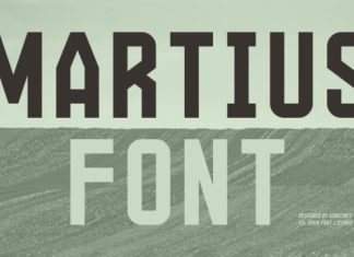 Martius Font preview image 1