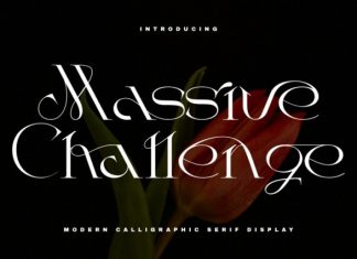 Massive Challenge Font preview image 1