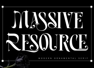 Massive Resource Font preview image 1