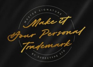 Master Signature Font preview image 3