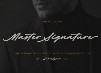 Master Signature Font preview image 1