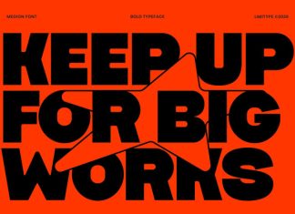 Megion – Bold Font preview image 3