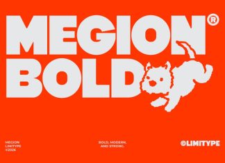 Megion – Bold Font preview image 1