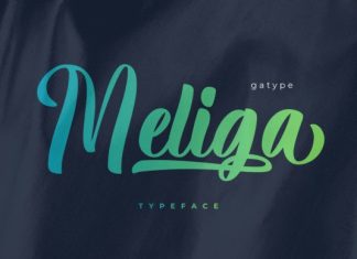 Meliga Font preview image 1