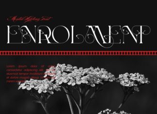 Mental Holding Font preview image 3
