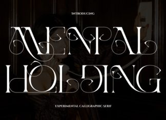 Mental Holding Font preview image 1