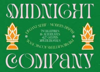 Midnight Company Font preview image 1