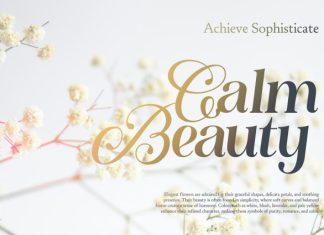 Milesdane Font preview image 2