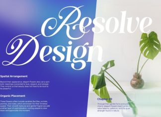Milesdane Font preview image 3