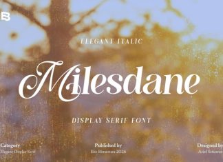 Milesdane Font preview image 1
