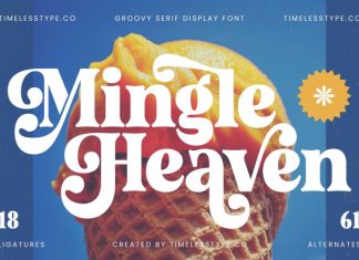 Mingle Heaven Font preview image 1