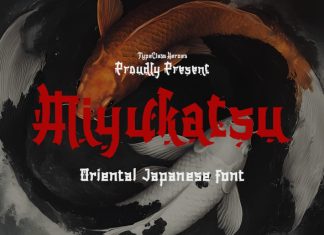 Miyukatsu Font preview image 1
