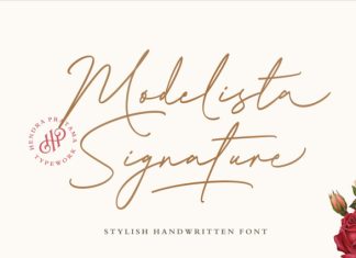 Modelista Signature Font preview image 1