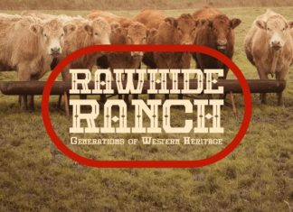 Mojave Font preview image 2