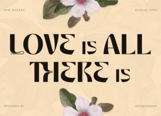 Mondy Font preview image 3