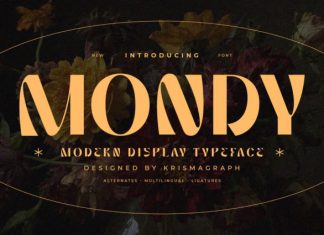 Mondy Font preview image 1