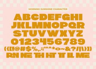 Morning Sunshine Font preview image 3