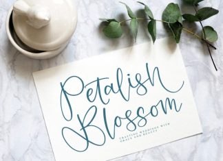 Musikalist Font preview image 2