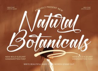 Natural Botanicals Font preview image 1