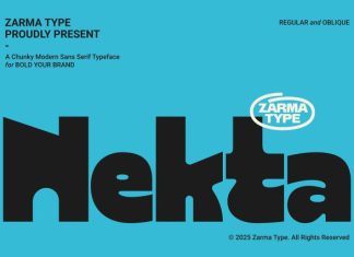 Nekta Font preview image 1