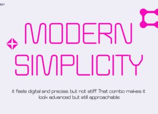 Nelight Font preview image 3