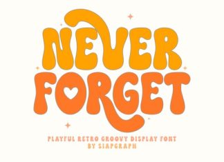 Never Forget Font preview image 1