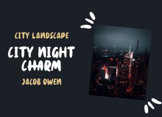 Nightwish Font preview image 2