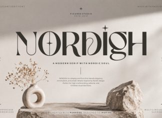 Nordigh Font preview image 1