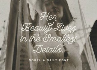 Norelia Daily Font Duo preview image 2