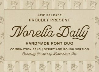 Norelia Daily Font Duo preview image 1