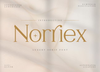Norriex – Luxury Serif Font preview image 1
