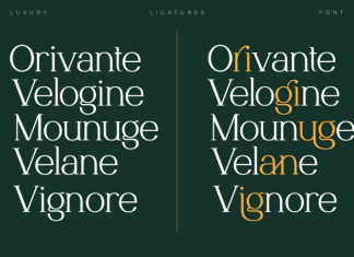 Norriex – Luxury Serif Font preview image 2