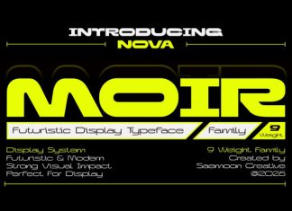 Nova Moir Font preview image 1