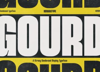 Nv Gourd Font preview image 1