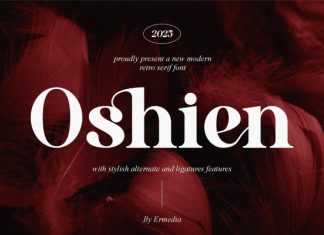 Oshien Font preview image 1