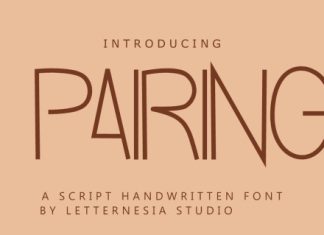 Pairing Font preview image 1
